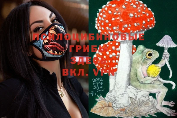 альфа пвп Богородицк