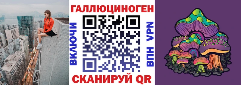 mega как зайти  Нерюнгри  Псилоцибиновые грибы GOLDEN TEACHER 